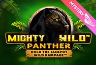 Mighty Wild Panther